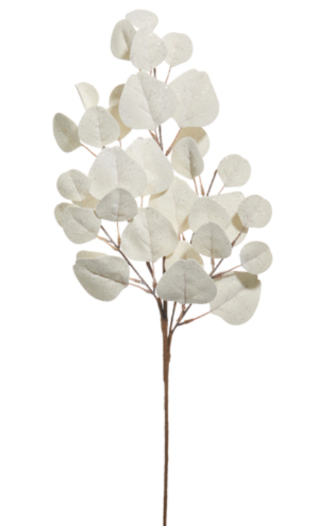 White Eucalyptus Spray
