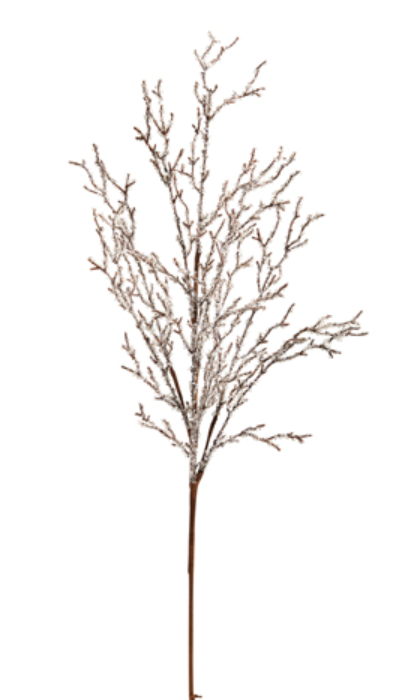 Iced Branch
