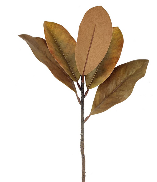 Magnolia Pick Chili