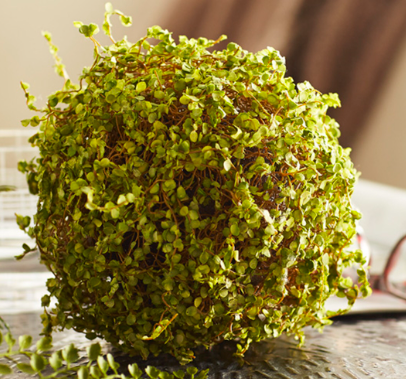 7" Mossy Orb