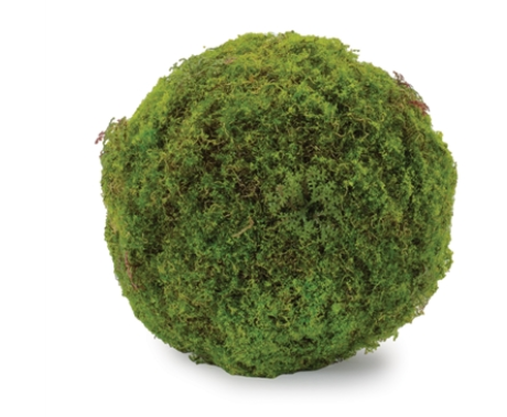 7" Moss Orb
