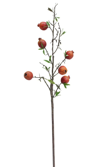Pomegranate Branch