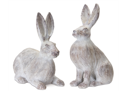Whitewash Bunny