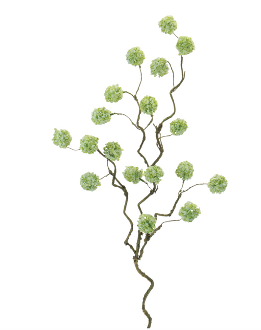 Green Snowball Branch