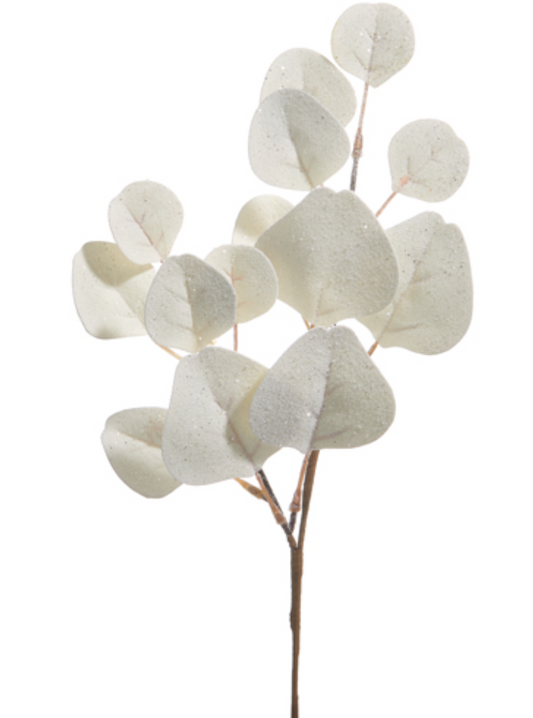 White Eucalyptus Pick