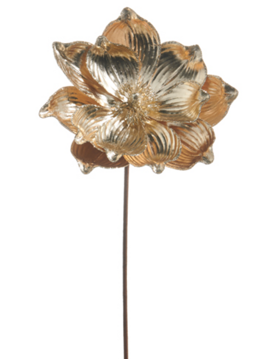 Gold Magnolia Stem