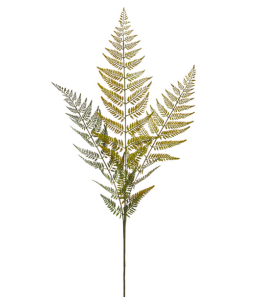 43" Fern Spray