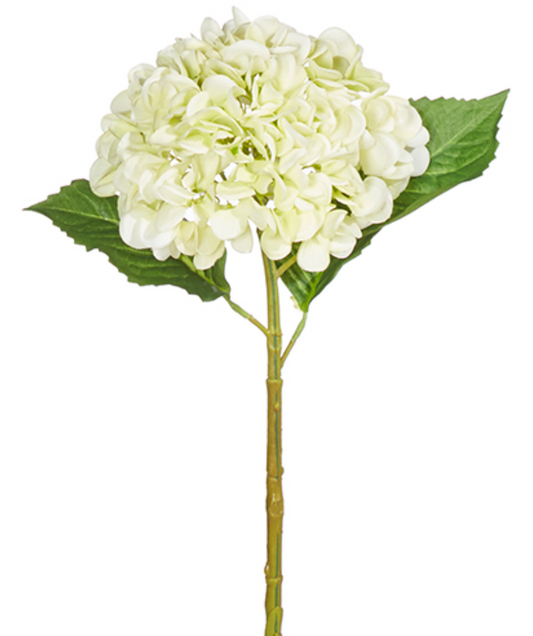 19" Real Touch Light Green Hydrangea Stem