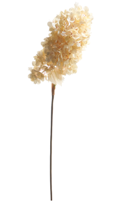 34" Dried Hydrangea Spray