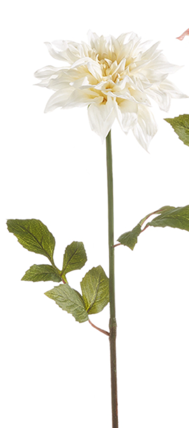 24" Real Touch Dahlia Stem