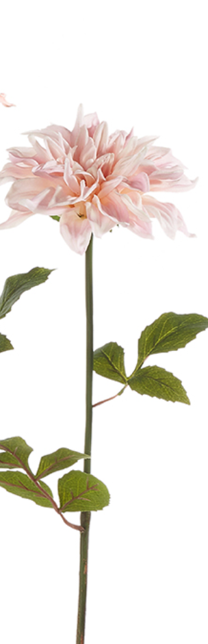 24" Real Touch Dahlia Stem
