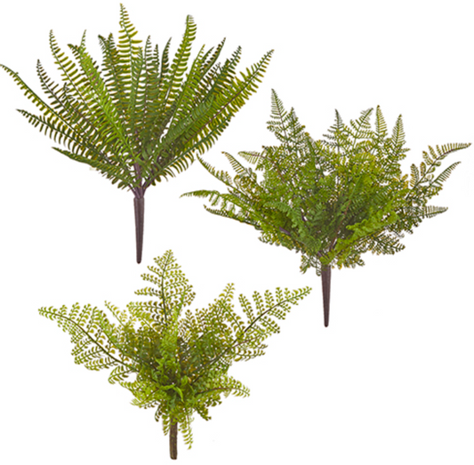 15" Fern Bush
