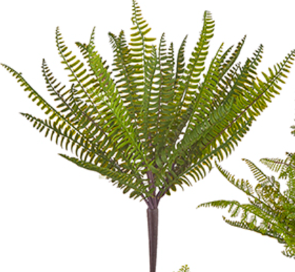 15" Fern Bush