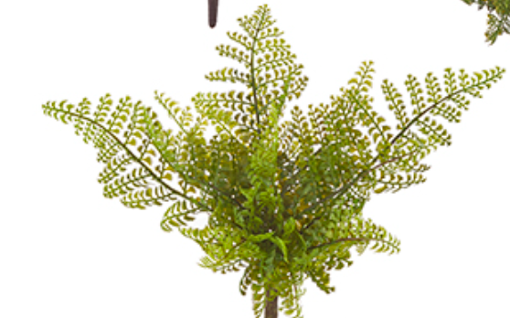 15" Fern Bush