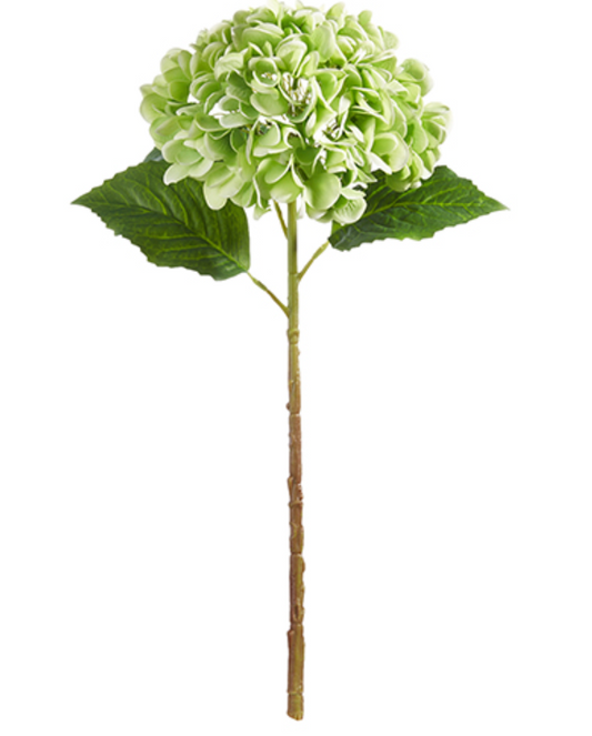 19" Real Touch Green Hydrangea Stem
