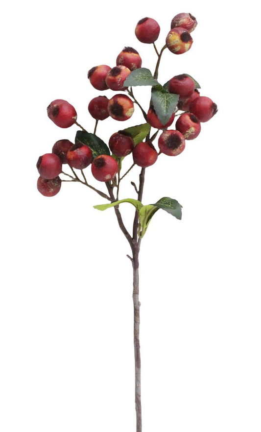 Crabapple Red