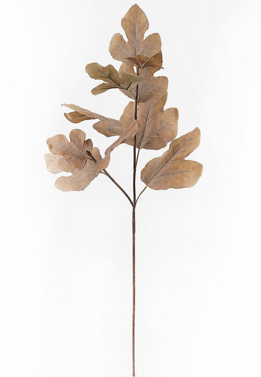 Autumn Fig Gold