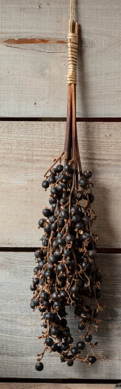 Dried Palm Fruit Cluster