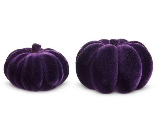 Purple Flocked Pumpkin