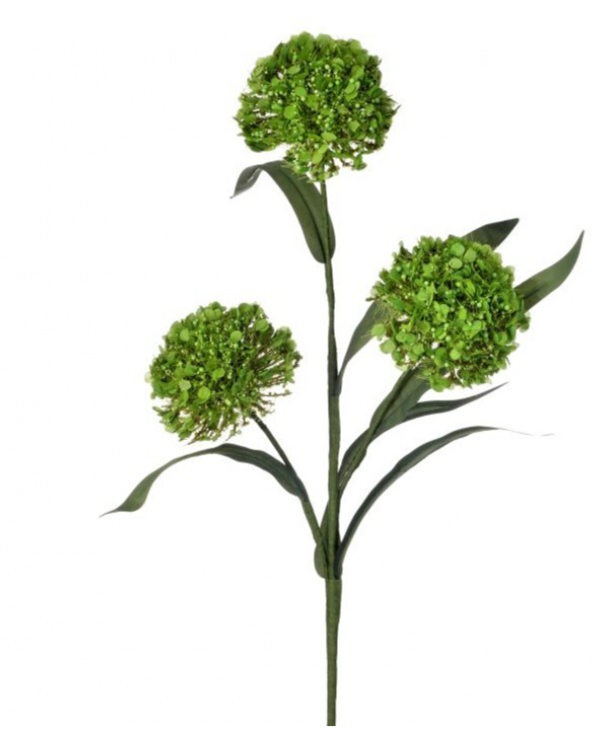 20" WILD FOAM ALIUM SPRAY - Green