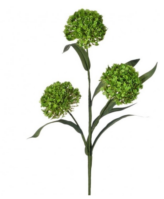 20" WILD FOAM ALIUM SPRAY - Green