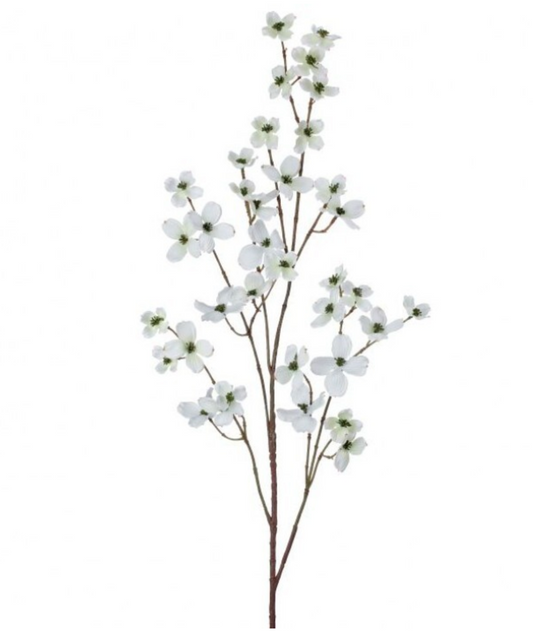 Dogwood Spray