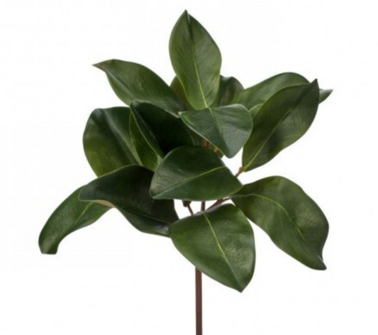16"NATURAL TOUCH MAGNOLIA LEAF SPRAY