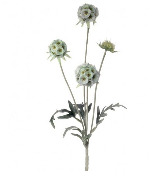 23" GARDEN SCABOSIA SPRAY X4 1