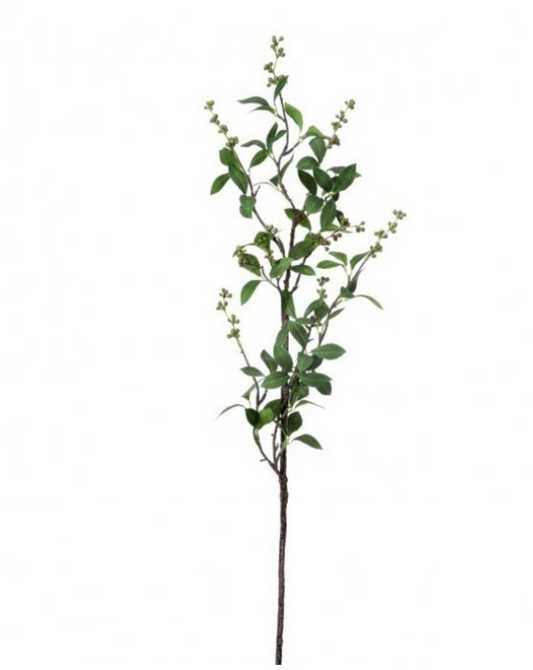 WILD CHOKEBERRY SPRAY