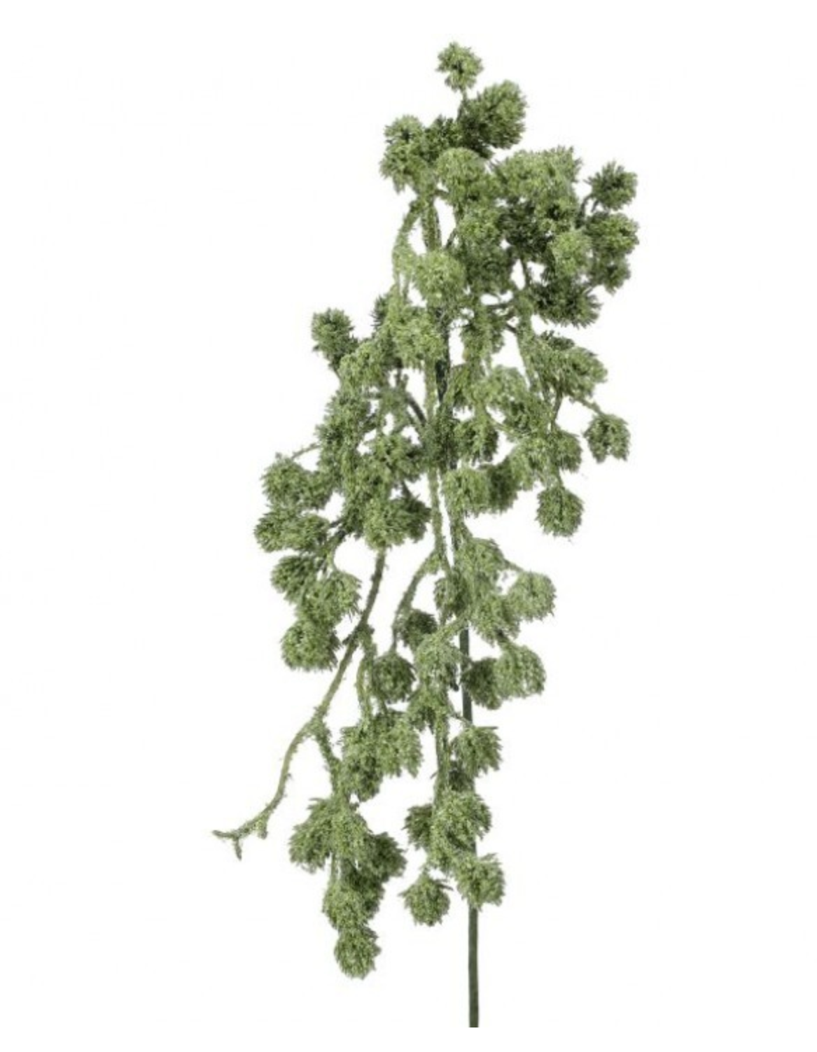 32" HANGING CONE AMARANTHUS SPRAY