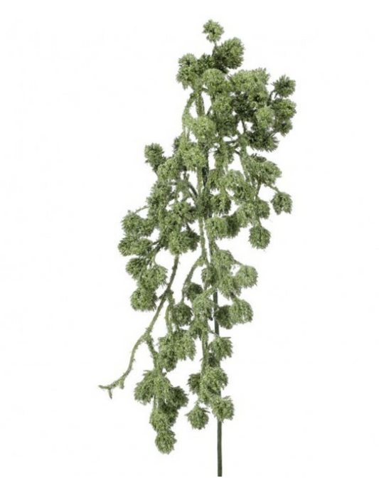 32" HANGING CONE AMARANTHUS SPRAY