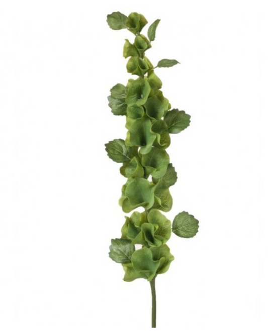 BELLS OF IRELAND 38"