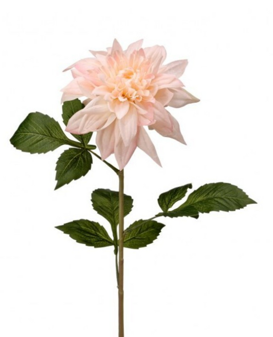 PAINTED DAHLIA STEM 29"