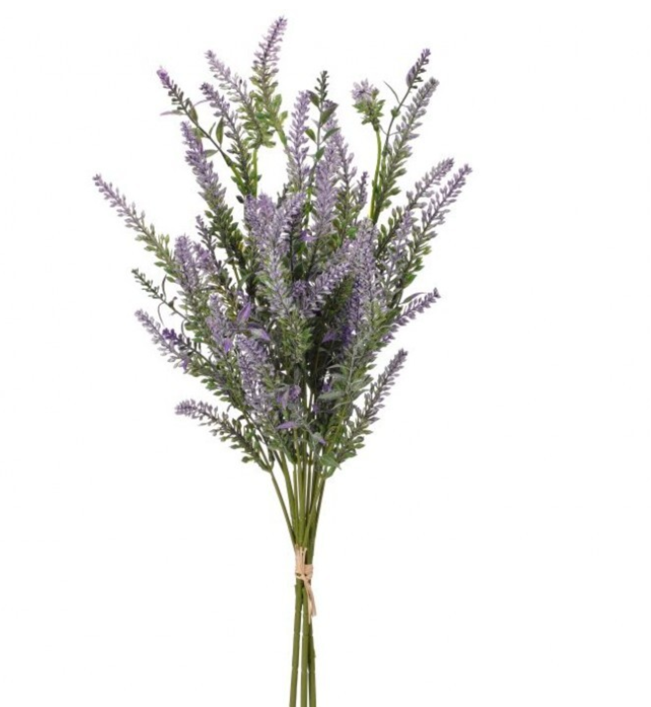 HIGHLAND LAVENDER BUNDLE