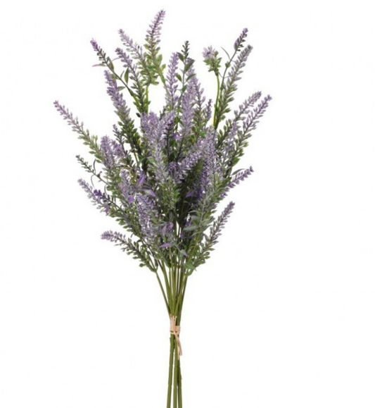 HIGHLAND LAVENDER BUNDLE