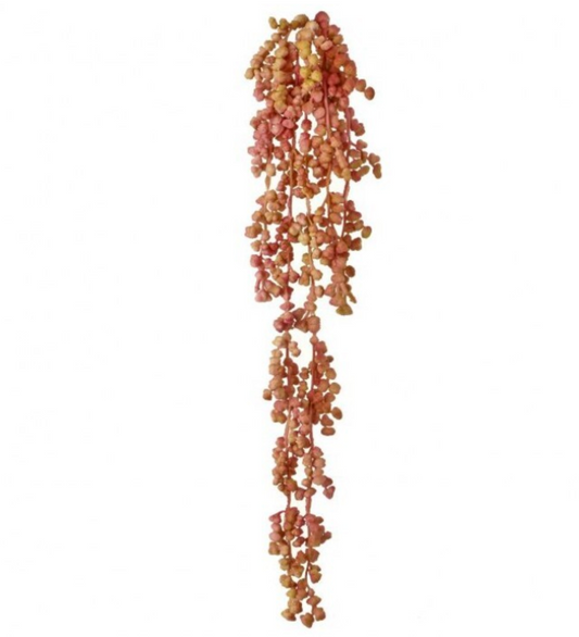 PL NAT TCH NUT SUCCULENT VINE 19" - UPDATE PHOTO