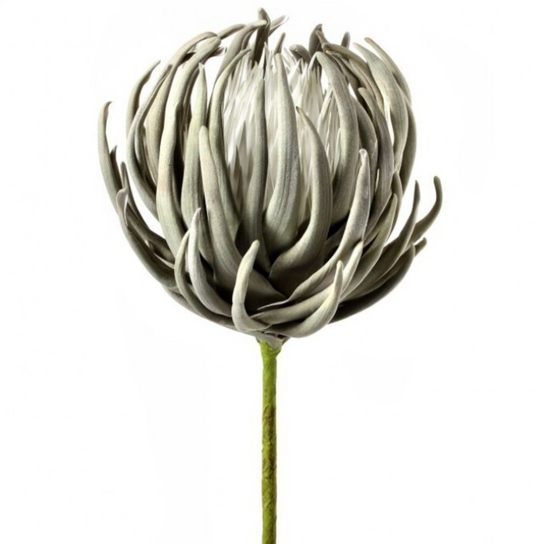 FOAM ARTICHOKE SUCCULENT SPAY 36"