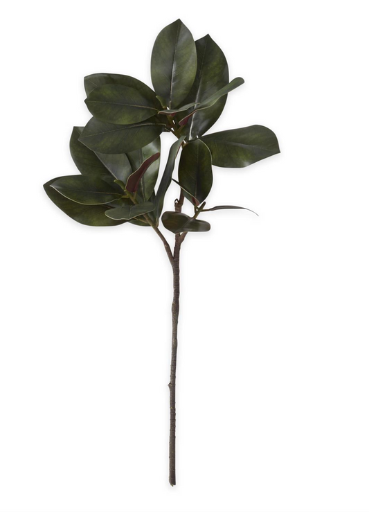 Burgundy & Green Magnolia Leaf Stem