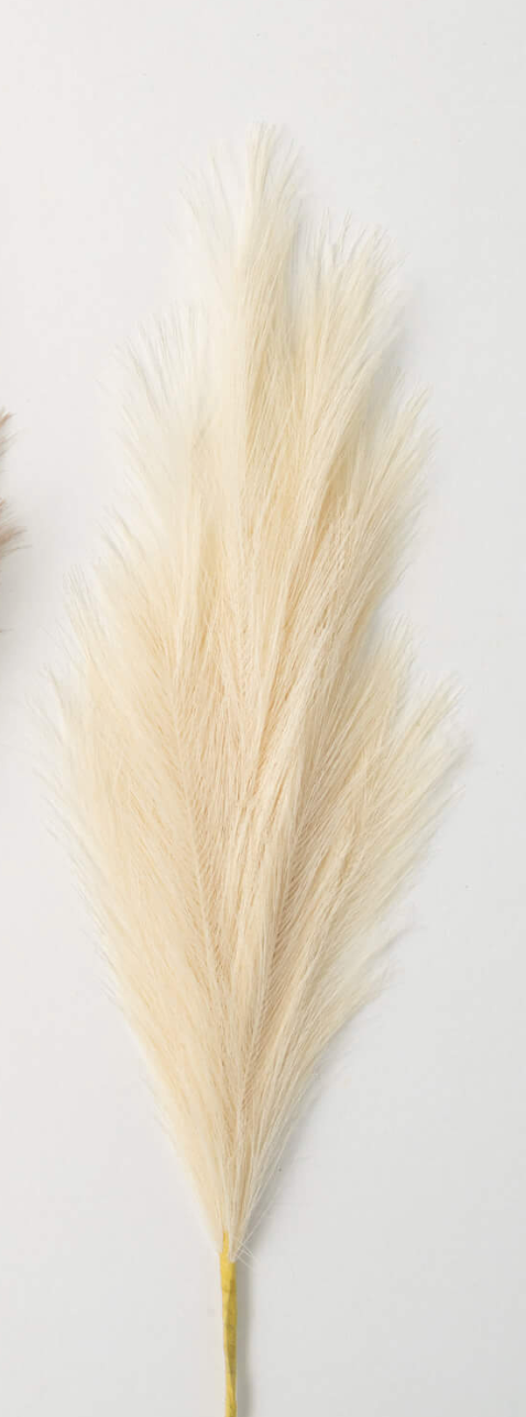 Reed Spray