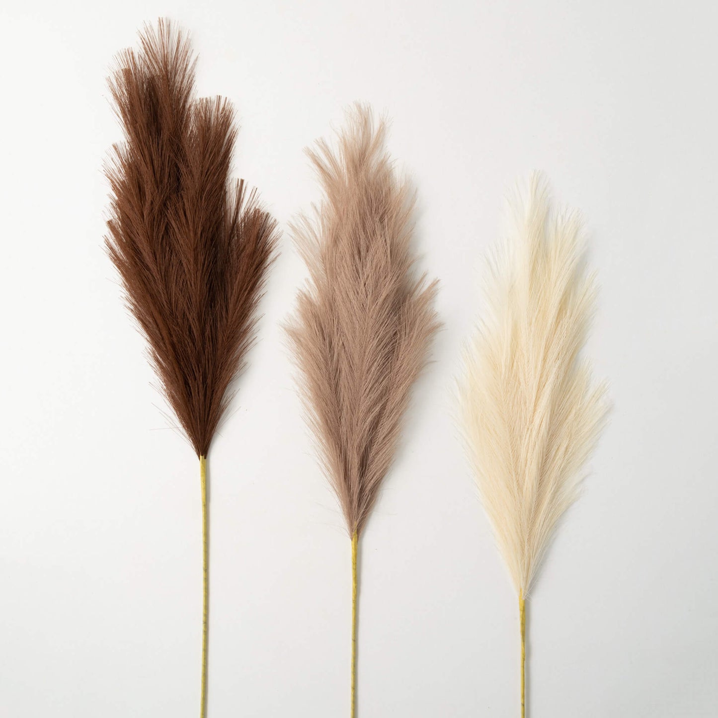 Reed Spray