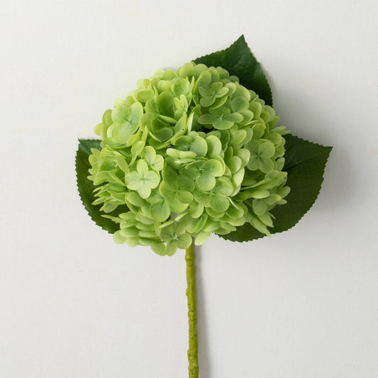 GREEN HYDRANGEA SPRAY