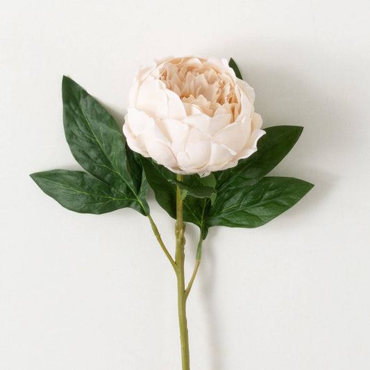 Cream Peony Spray