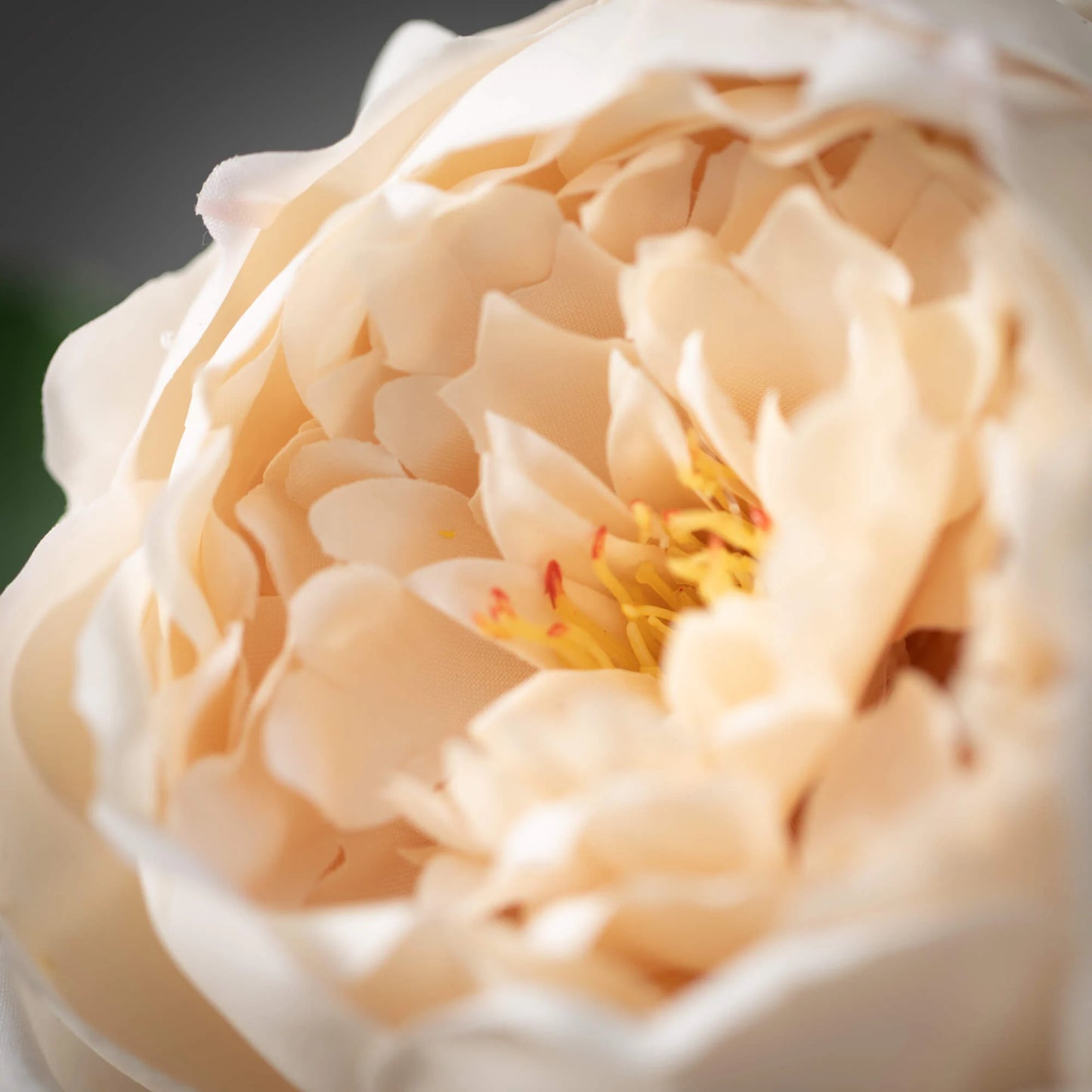 Cream Peony Spray