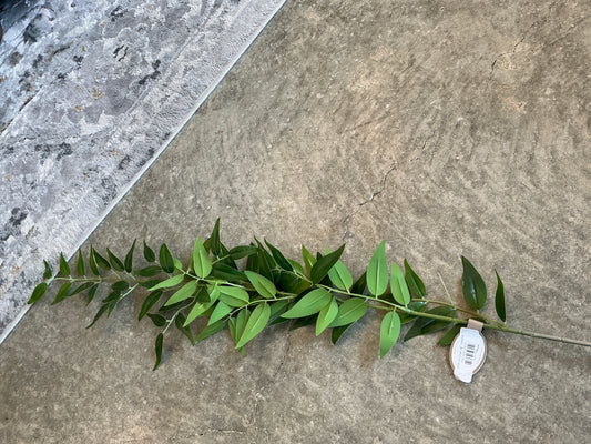 SMILAX LEAF 44'',GREEN