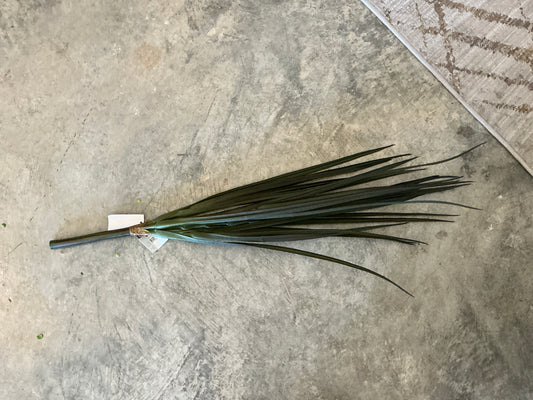 Grass Spray
