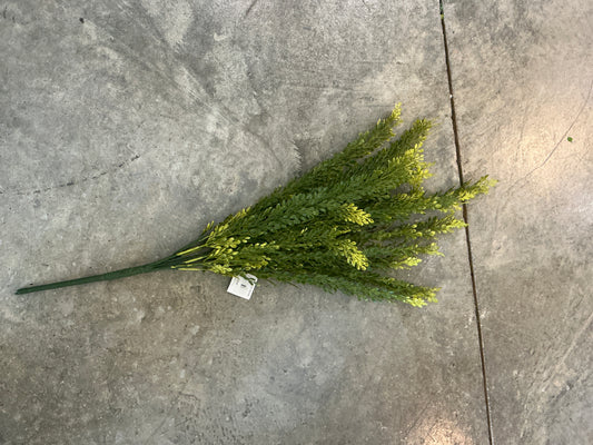 Baby Tears Bush 23”H Plastic