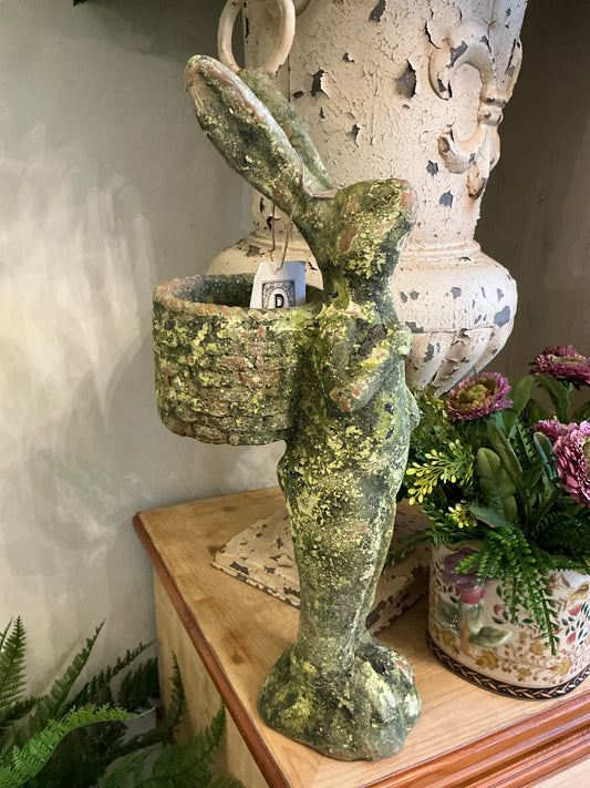 Aged Gathering Rabbit