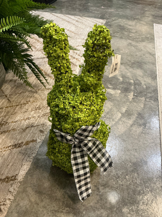 SPGR 18" BABY TEARS VINE BUNNY 