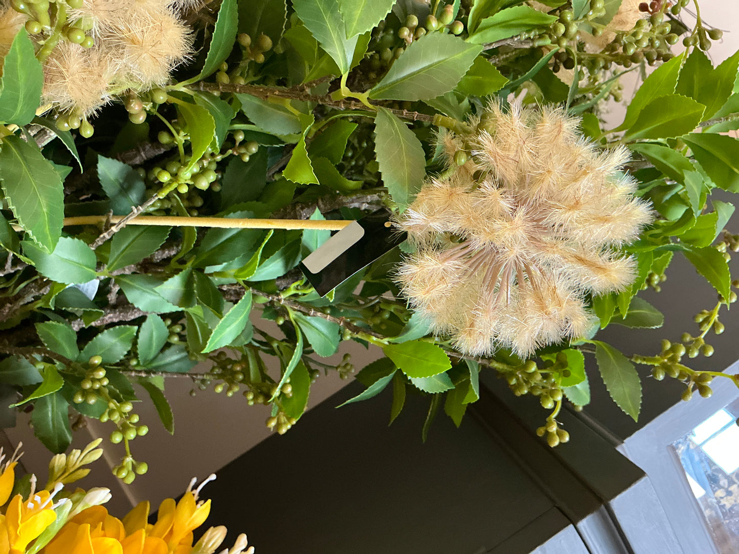 Dandelion Stem