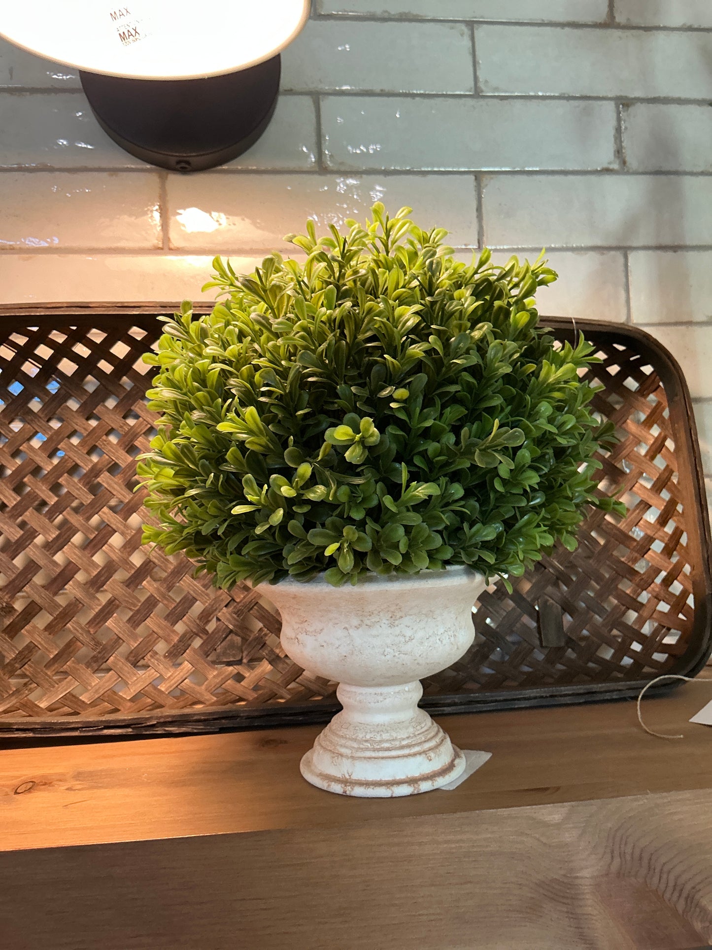Aged Garden Pot #8
